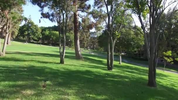 Mouvement en douceur de la caméra le long de la route dans le parc 
