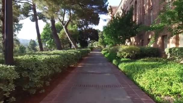 Reibungslose Bewegung der Kamera entlang der Straße im Park — Stockvideo