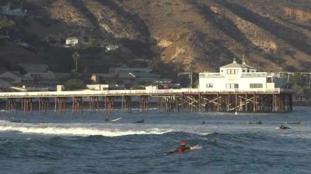 Malibu, Kaliforniya, ABD - Eylül 2016: Sörf insanlar dalgalar binmek — Stok video