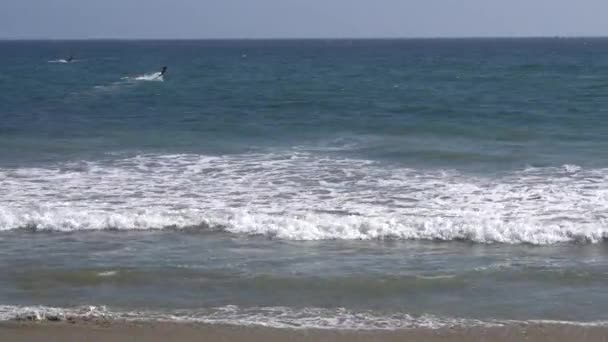 Μαλιμπού, Καλιφόρνια, ΗΠΑ - Σεπτέμβριος 2016: Kitesurfing άτομα βόλτα στα κύματα — Αρχείο Βίντεο