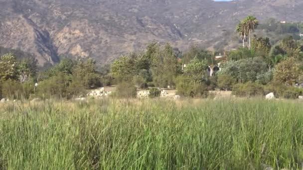 Malibu, California, USA - Settembre 2016: Le persone che praticano surf cavalcano le onde — Video Stock