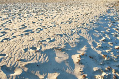 Sahilde küçük kum tepeleri.