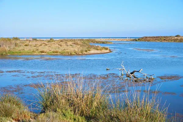 Gün batımında Malibu'da güzel Lagoon — Stok fotoğraf