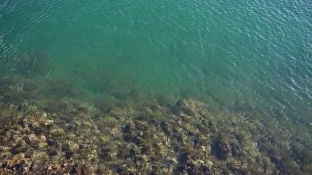 Fondo turquesa con espacio transparente de copia de agua de mar para texto. Superficie del agua de mar en laguna y arrecife de coral. Vista superior transparente turquesa superficie del agua del océano. textura de fondo. — Vídeo de stock