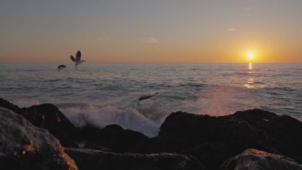 Dramática puesta de sol en el océano. El cielo ardiente y las olas doradas brillantes golpean las rocas. Puesta de sol mar 4k. Las gaviotas están volando. Cielo rojo, sol amarillo y un mar increíble. Atardecer de verano paisaje marino. Movimiento lento. — Vídeos de Stock