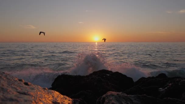 Dramatischer Sonnenuntergang über dem Meer. brennender Himmel und goldglänzende Wellen trafen auf Felsen. Sonnenuntergang Meer 4k. Möwen fliegen. Roter Himmel, gelbe Sonne und fantastisches Meer. Sommer Sonnenuntergang Meereslandschaft. Zeitlupe. — Stockvideo