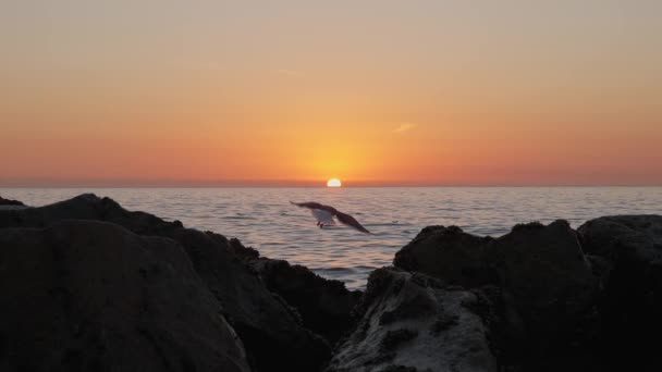 Dramática puesta de sol en el océano. El cielo ardiente y las olas doradas brillantes golpean las rocas. Puesta de sol mar 4k. Las gaviotas están volando. Cielo rojo, sol amarillo y un mar increíble. Atardecer de verano paisaje marino. Movimiento lento. — Vídeos de Stock