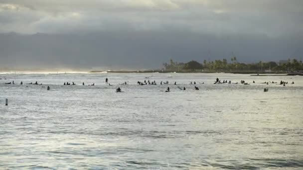 Серфінг їде і обертається з бризом на блакитну океанську хвилю, серфінг життя в океані, екстремальні види спорту. Великі хвилі з білою піною на Гаваях. Тихий океан — стокове відео