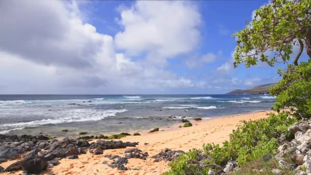 Modré vlny Tichého oceánu se valí přes skalnatou pláž havajského ostrova Oahu. Zelený tropický strom pod jasným letním sluncem proti modré obloze s bílými mraky. — Stock video