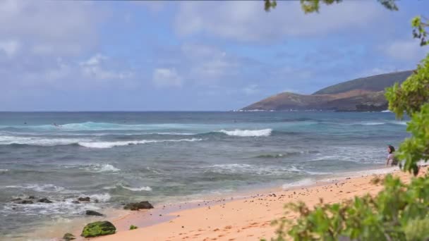 De blauwe golven van de Stille Oceaan rollen over het rotsachtige strand van het Hawaïaanse eiland Oahu. Groene tropische boom onder de felle zomerzon tegen een blauwe lucht met witte wolken. — Stockvideo