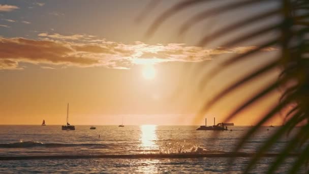 Hindistan cevizi ağacının yaprakları gün batımında mavi gökyüzüne karşı rüzgarda sallanıyor. Waikiki Beach, Oahu, Hawaii 'de inanılmaz güzel bir gün batımı.. — Stok video