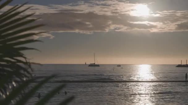 Geweldige kleuren van een tropische zonsondergang. Silhouetten van zeilboten die aan de oceaanhorizon drijven. Surfers rijden op de golven. Oahu, zomervakantie op Hawaï. — Stockvideo
