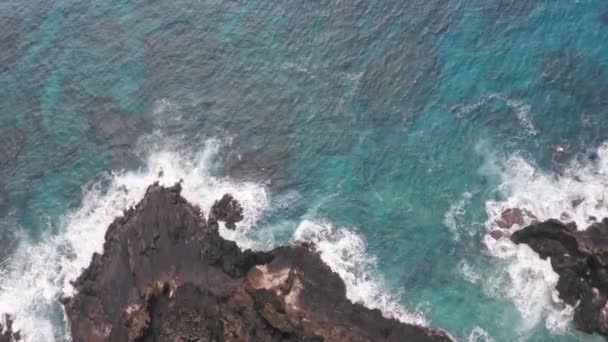 드론에서 공중 촬영. 바위가 많은 바 다 연안의 꼭대기에서 바라본 것이다. 태평양의 푸른 파도가 바위에 부딪히고 있습니다. 흰 바 다 거품. 열 대의 섬인 하와이의 화산 해변. — 비디오