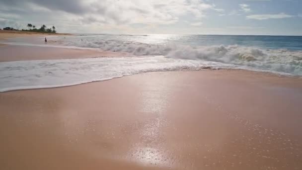 사람들은 바다에서 수영을 한다. 열 대의 오하우 섬에 있는 샌디 비치의 노란 모래. 태평양 바다의 청록색이다. 스테디캠 사격. — 비디오