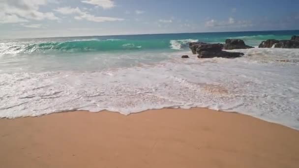 İnsanlar okyanusta yüzer. Oahu Hawaii 'nin tropikal adasındaki Sandy Plajı' nda sarı kum. Pasifik Okyanusu suyunun turkuaz rengi. Steadicam çekimi. — Stok video