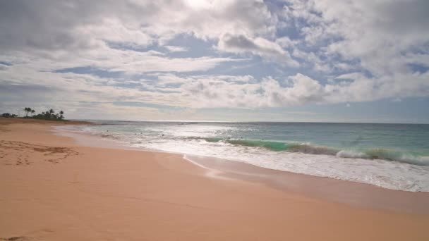사람들은 바다에서 수영을 한다. 열 대의 오하우 섬에 있는 샌디 비치의 노란 모래. 태평양 바다의 청록색이다. 스테디캠 사격. — 비디오