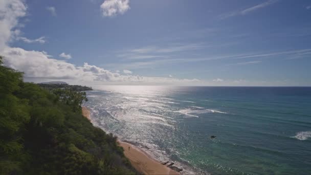Vista desde arriba hasta Diamond Head Beach Park. La gente nada en el océano. Arena amarilla en la playa en la isla tropical de Oahu Hawaii. El color turquesa del agua del Océano Pacífico. — Vídeos de Stock