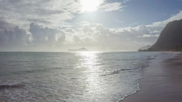 Färgglad antenn Utsikt över tropisk strand med turkosblått havsvatten och vågor som rappar på dold vit sandstrand. Blå himmel med gröna träd vegetation. Waimanalo Beach, Oahu Hawaii Island. 4k. — Stockvideo