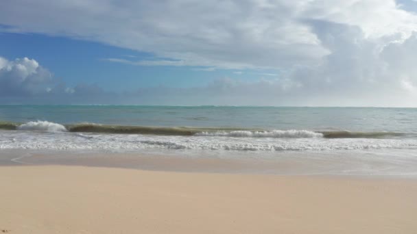 Bunte Luftaufnahme des tropischen Strandes mit türkisblauem Meerwasser und Wellen, die am versteckten weißen Sandstrand plätschern. Blauer Himmel mit grünen Bäumen. Waimanalo Beach, Insel Oahu Hawaii. 4k. — Stockvideo