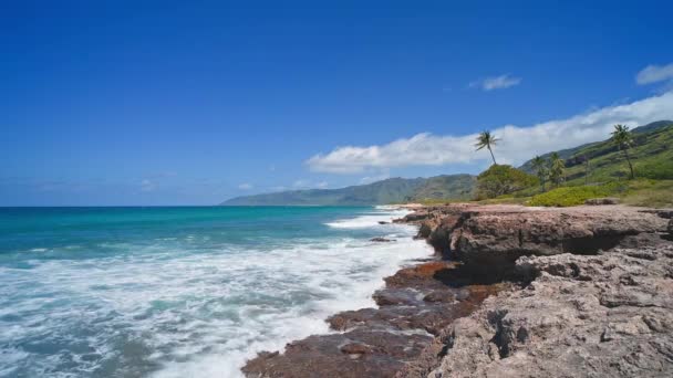 Άποψη των ηφαιστειακών βράχων στην τροπική παραλία του Oahu Χαβάη. Κύματα πέφτουν πάνω στις αιχμηρές άκρες των λίθων. Κινηματογραφική άγρια ζωή 4K. Ανέγγιχτη φύση σε μια ηλιόλουστη καλοκαιρινή μέρα. DCI. — Αρχείο Βίντεο