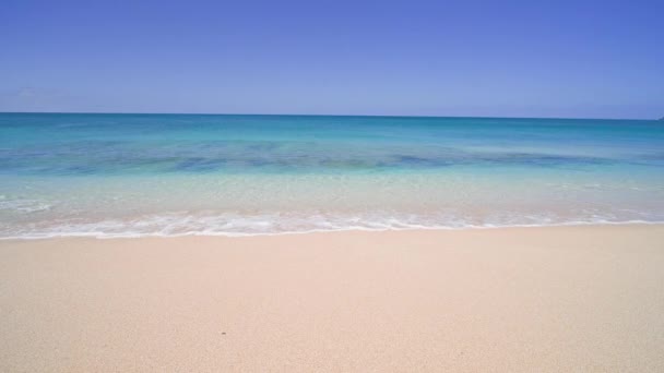 Blauwe Oceaan, Gele Zandstrand Natuur Tropische Eilanden Oahu Hawaï. Stille Oceaan. Turkoois zee achtergrond. Heldere zonnige dag in de tropen. — Stockvideo