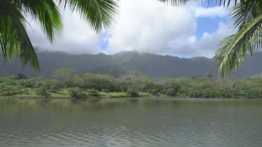 Yağmur ormanı, kayalık dağ ve körfez manzarası. Tropikal ada Oahu Hawaii. Açık güneşli bir gün Mavi gökyüzünde beyaz bulutlar.