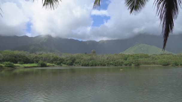 Вид на тропический лес и скалистую гору и залив. Тропический остров Оаху Гавайи. Светлый солнечный день с белыми облаками на голубом небе. — стоковое видео