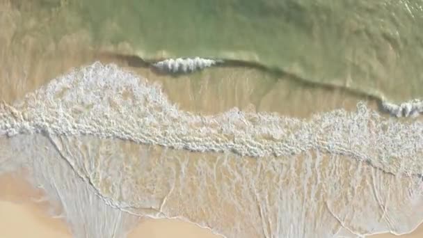 Luftaufnahme von oben nach unten Drohnenschuss. Schöner tropischer Strand mit weißem Sand. Ansicht von oben. Leerer und sauberer Strand in der Sommersaison auf Oahu Hawaii. — Stockvideo