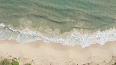 Yukarıdan aşağıya doğru hava görüntüsü. Beyaz kumlu güzel tropik sahil denizi. Üst Manzara. Hawaii Adası 'nda yaz mevsiminde boş ve temiz bir sahil..