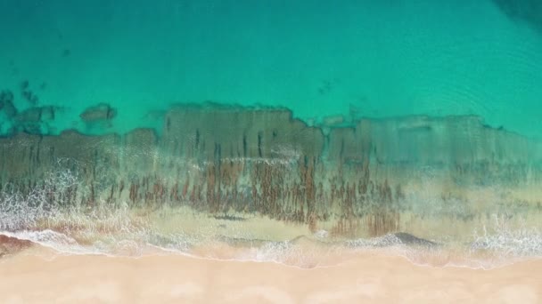 Flygfoto uppifrån och ner, drönarskott. Vackert tropiskt strandhav med vit sand. Högst upp. Tomma och rena stranden under sommarsäsongen på Oahu Hawaii Island. — Stockvideo