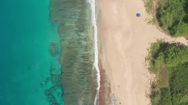 Flygfoto uppifrån och ner, drönarskott. Vackert tropiskt strandhav med vit sand. Högst upp. Tomma och rena stranden under sommarsäsongen på Oahu Hawaii Island. — Stockvideo