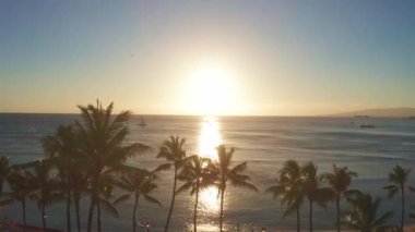 Okyanusta suyun üzerindeki palmiye ağaçlarının arasından renkli günbatımına doğru uçuyor. Hava aracı Oahu, Hawaii 'de Waikiki Sahili' nde günbatımında yavaşça uçuyor..