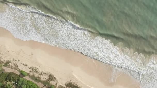 Flygfoto uppifrån och ner, drönarskott. Vackert tropiskt strandhav med vit sand. Högst upp. Tomma och rena stranden under sommarsäsongen på Oahu Hawaii Island. — Stockvideo