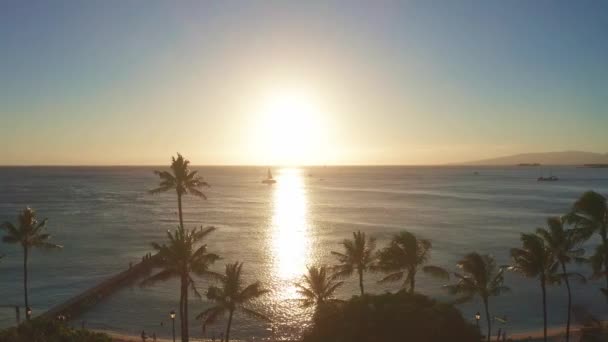 Voo aéreo direto de trás entre palmeiras acima da água no oceano contra o pôr do sol colorido. Panning drone aéreo lentamente voando sobre um colorido enquanto Sunset em Oahu, Havaí com Waikiki Beach. — Vídeo de Stock