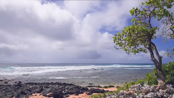 Die blauen Wellen des Pazifischen Ozeans wälzen sich über den felsigen Strand der hawaiianischen Insel Oahu. Grüner tropischer Baum unter der strahlenden Sommersonne vor blauem Himmel mit weißen Wolken. — Stockfoto