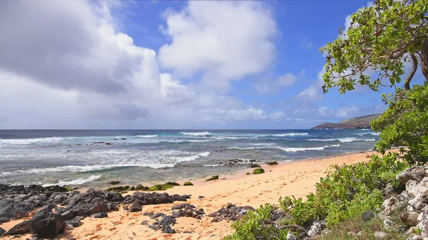 Le onde blu dell'Oceano Pacifico rotolano sulla spiaggia rocciosa dell'isola hawaiana di Oahu. Albero tropicale verde sotto il sole luminoso dell'estate contro un cielo blu con nuvole bianche. — Foto Stock