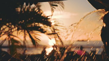 Altın suyla çeşme. Hindistan cevizi ağacının yaprakları gün batımında mavi gökyüzüne karşı rüzgarda sallanıyor. Waikiki Beach, Oahu, Hawaii 'de inanılmaz güzel bir gün batımı..