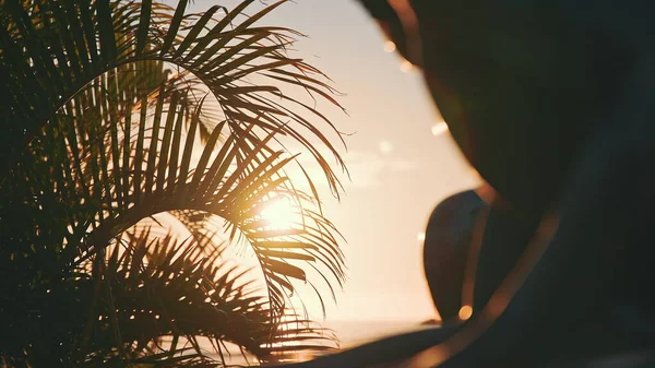 Listy kokosového stromu se kývají ve větru proti modré obloze při západu slunce. Neuvěřitelně krásný západ slunce na Waikiki Beach, Oahu, Hawaii. — Stock fotografie