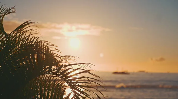 The leaves of a coconut tree sway in the wind against the blue sky at sunset. Incredibly beautiful sunset at Waikiki Beach, Oahu, Hawaii. — Stock Photo, Image