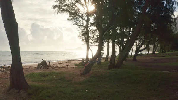 La telecamera si muove nella foresta pluviale attraverso gli alberi. Spiaggia selvaggia sull'isola tropicale di Oahu. La mattina presto all'Isola Hawaii. Colpo di Steadicam. Ispettore capo 4k. — Foto Stock