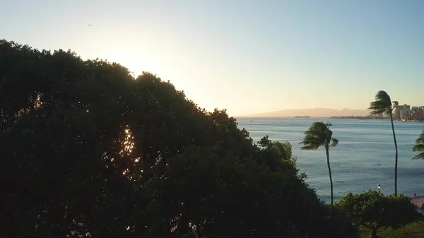 Luftflug direkt von hinten zwischen Palmen über dem Wasser im Ozean gegen den bunten Sonnenuntergang. Schwenk-Drohne fliegt langsam über eine bunte während Sonnenuntergang in Oahu, Hawaii mit Waikiki Beach. — Stockfoto