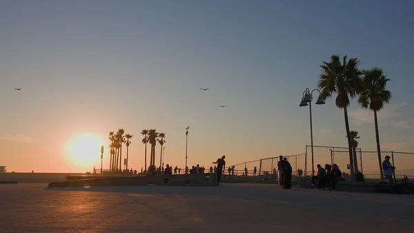 LOS ANGELES, CALIFORNIA, ΗΠΑ - 10 Δεκεμβρίου 2020: Venice Ocean Beach skatepark. Σιλουέτα των νέων άλμα skateboarder ιππασία longboard, καλοκαίρι ηλιοβασίλεμα φόντο. Έφηβοι σε ράμπα skateboard. — Φωτογραφία Αρχείου