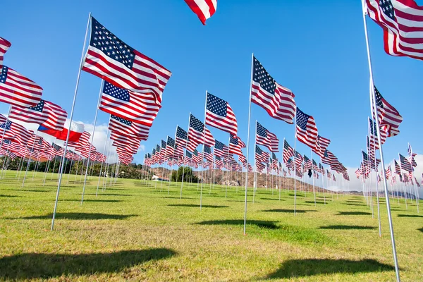 American flags displaying on Memorial Day — Stock Photo, Image