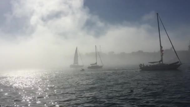 マリーナ ・ デル ・ レイで霧の中でセーリング ヨット — ストック動画