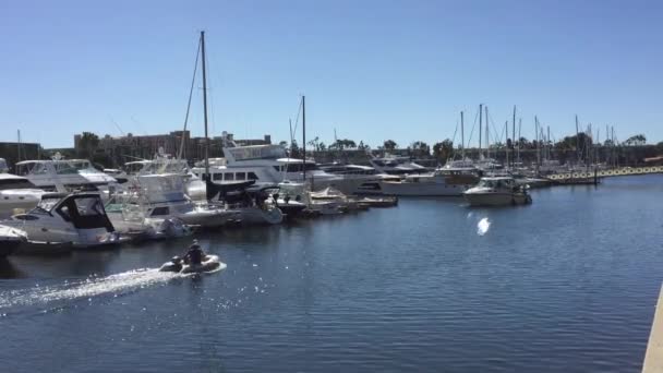 Marina del Rey Yacht bassäng med båtar förtöjda — Stockvideo