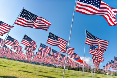 Amerikan bayrakları anma günü görüntüleme