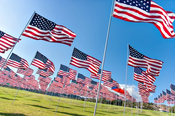 American flags displaying on Memorial Day — Stock Photo, Image