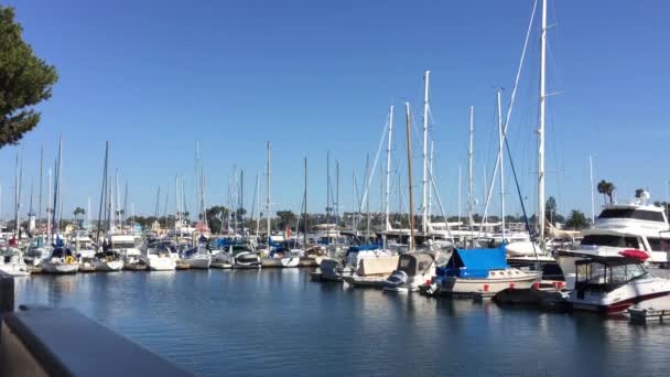 Marina del rey Yachtbecken mit Liegeplätzen für Boote — Stockvideo