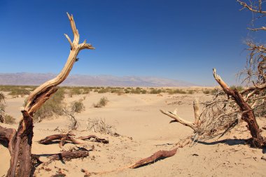 Ölü valley California