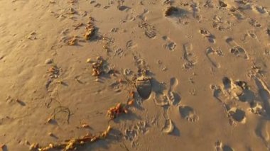 Malibu Beach yürüme Pov günbatımı